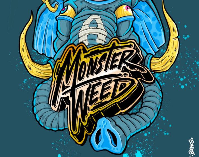 MONSTER WEED CBD - variété Amnesia Haze