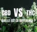 CBD vs THC, quelle est la différence ?